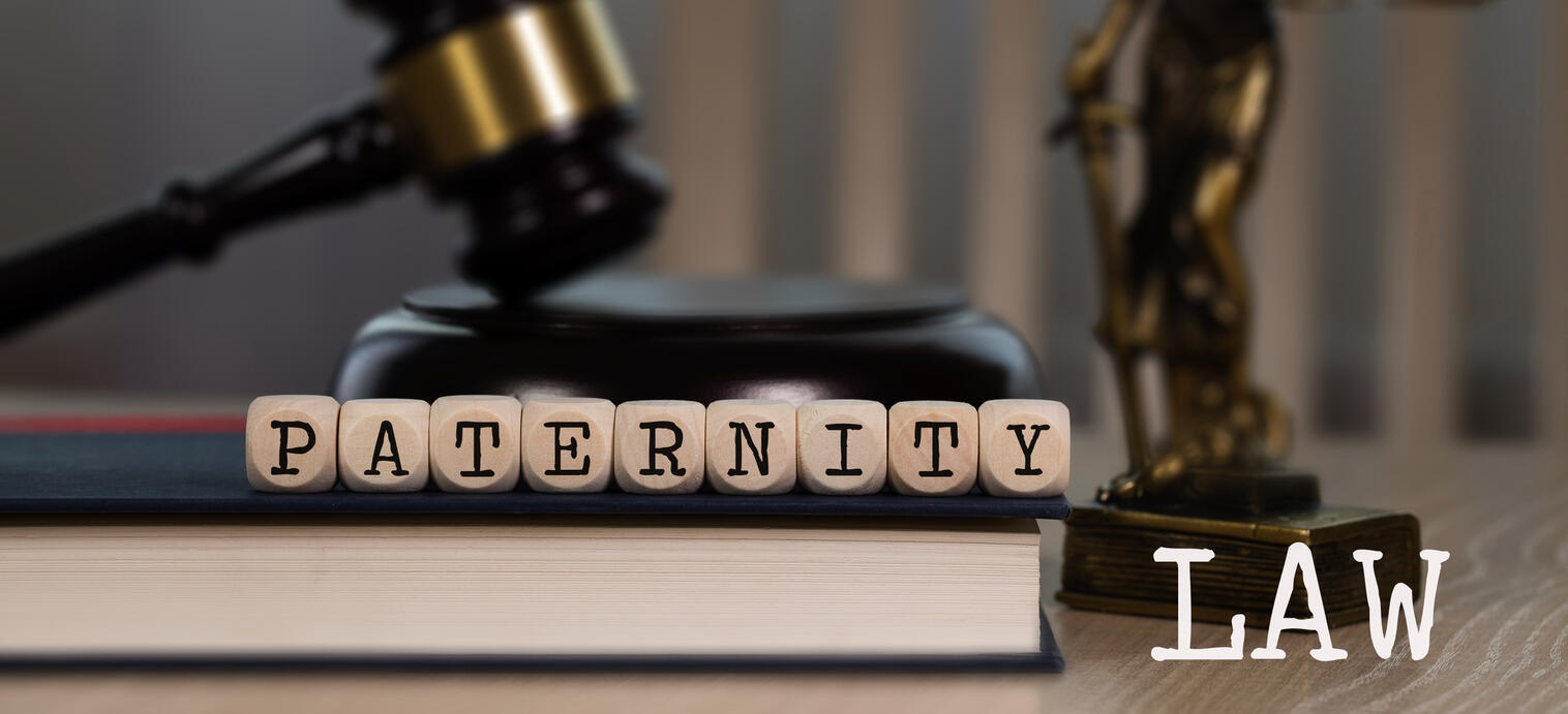 Paternity Law