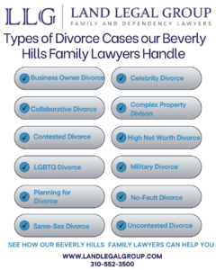 This Infographic shows that types of Divorce Cases our Beverly Hills Family Lawyers Handle